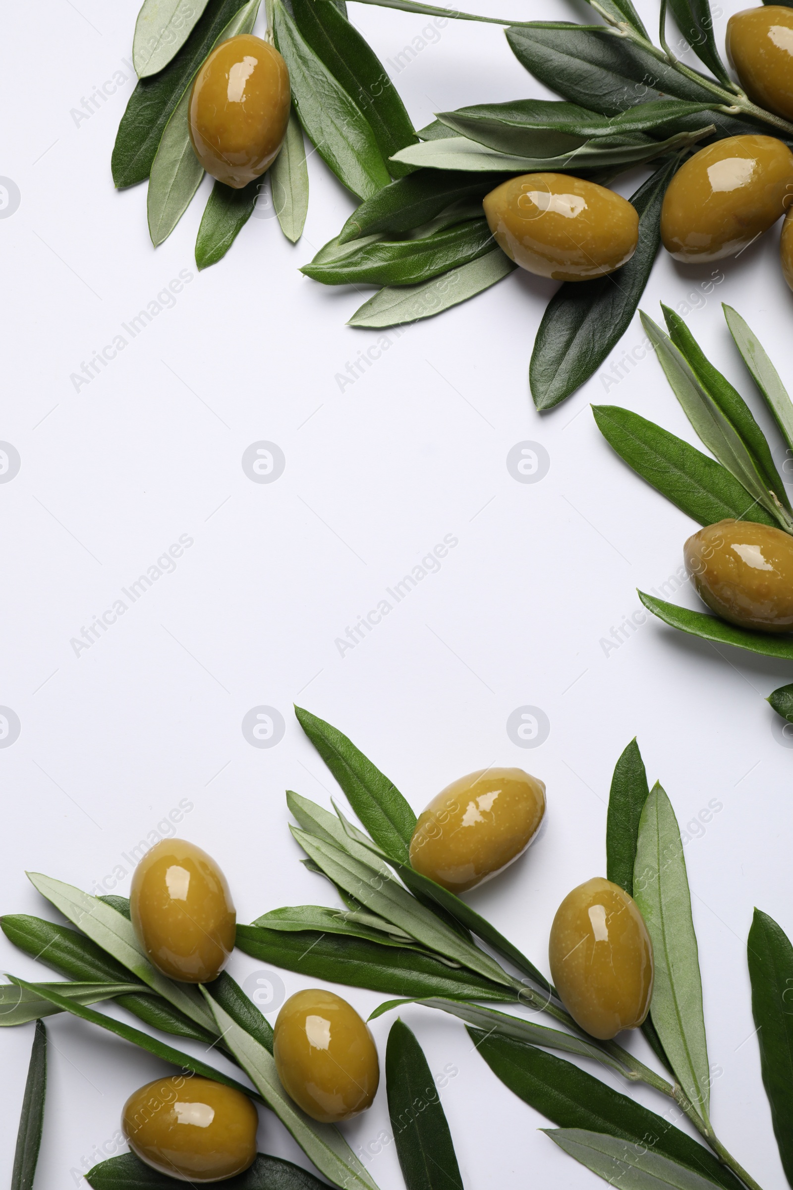 Photo of Twigs with olives and fresh green leaves on white background, flat lay. Space for text