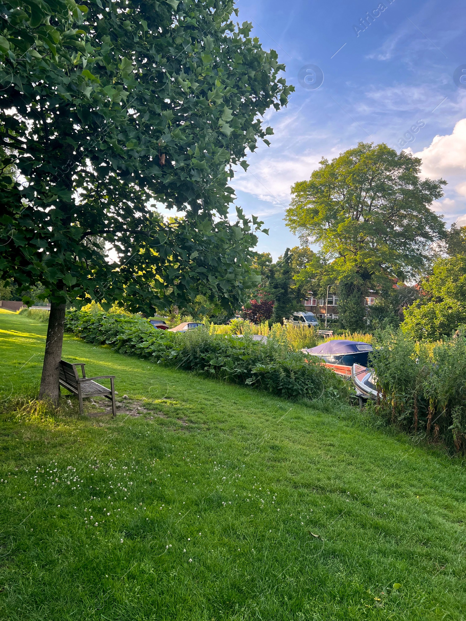 Photo of Picturesque view of beautiful park with fresh green grass, bench and trees on sunny day