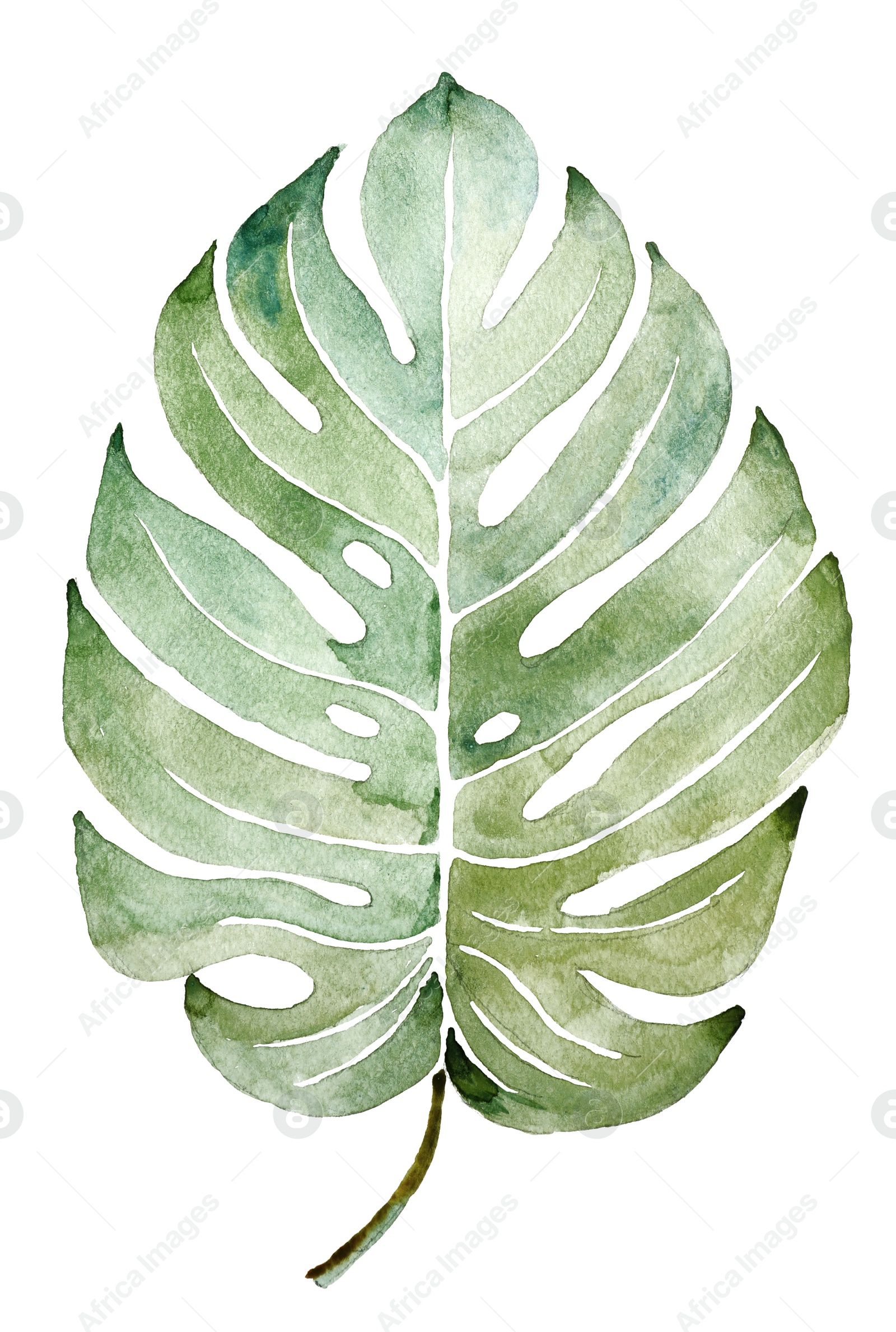 Photo of Beautiful watercolor tropical leaf painted on white paper, top view