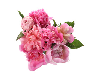 Photo of Bouquet of beautiful peonies on white background