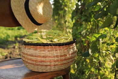 Photo of Wicker basket with fresh green beans and hat on wooden chair in garden