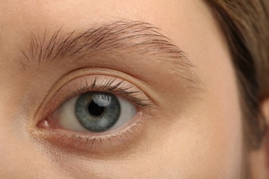 Photo of Woman with beautiful natural eyelashes, closeup view