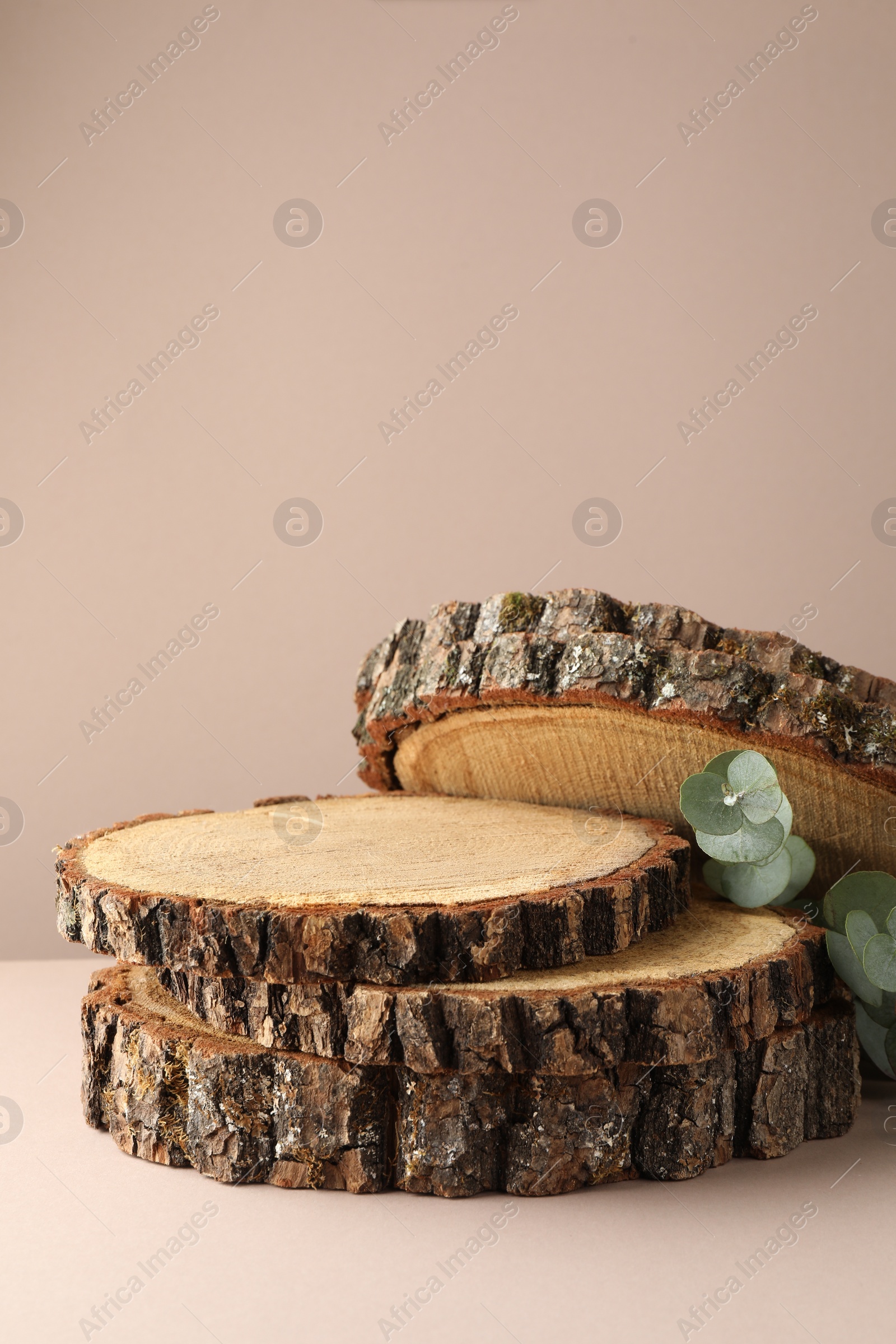 Photo of Presentation for product. Wooden stumps and eucalyptus branches on beige background. Space for text