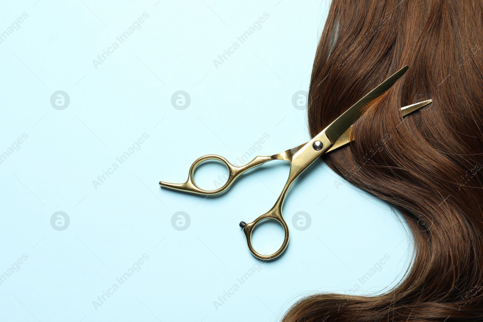 Photo of Professional hairdresser scissors with brown hair strand on light blue background, top view. Space for text