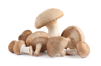 Fresh wild mushrooms on white background. Edible fungi