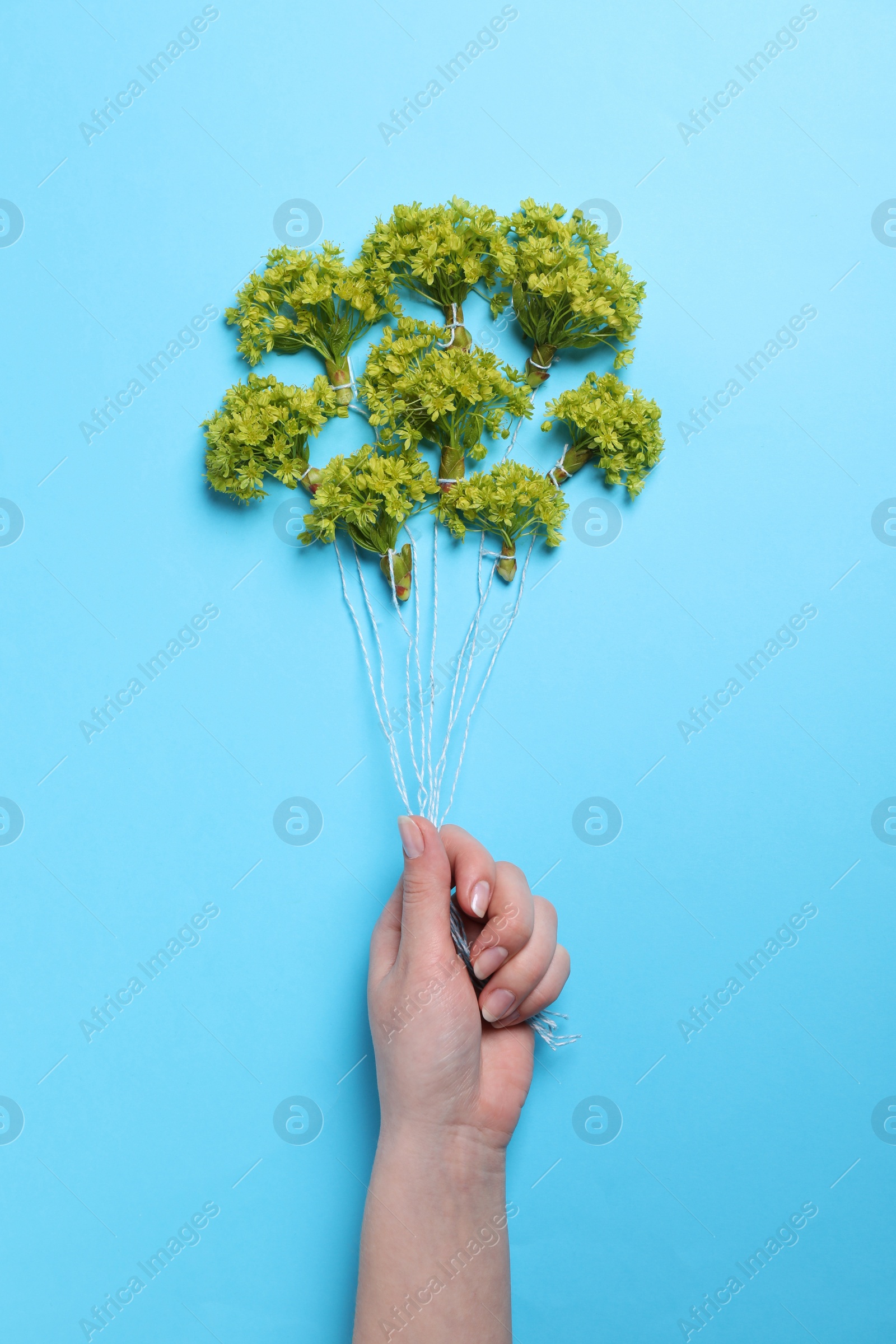 Photo of Woman holding green maple flowers as air balloons on light blue background, top view