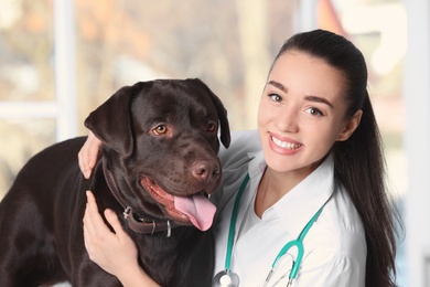 Photo of Veterinarian doc with dog in animal clinic