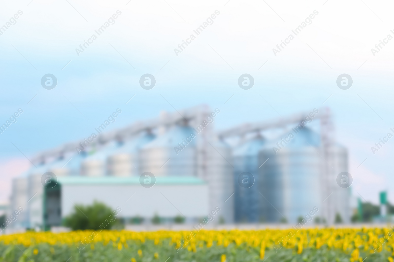 Photo of Blurred view of modern granaries for storing cereal grains in field