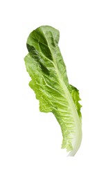 Photo of Fresh leaf of green romaine lettuce isolated on white