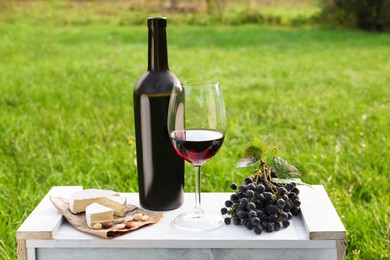 Photo of Red wine and snacks for picnic served on green lawn
