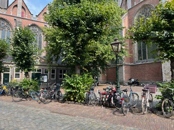 Beautiful view of parking with bicycles, trees and buildings outdoors on sunny day