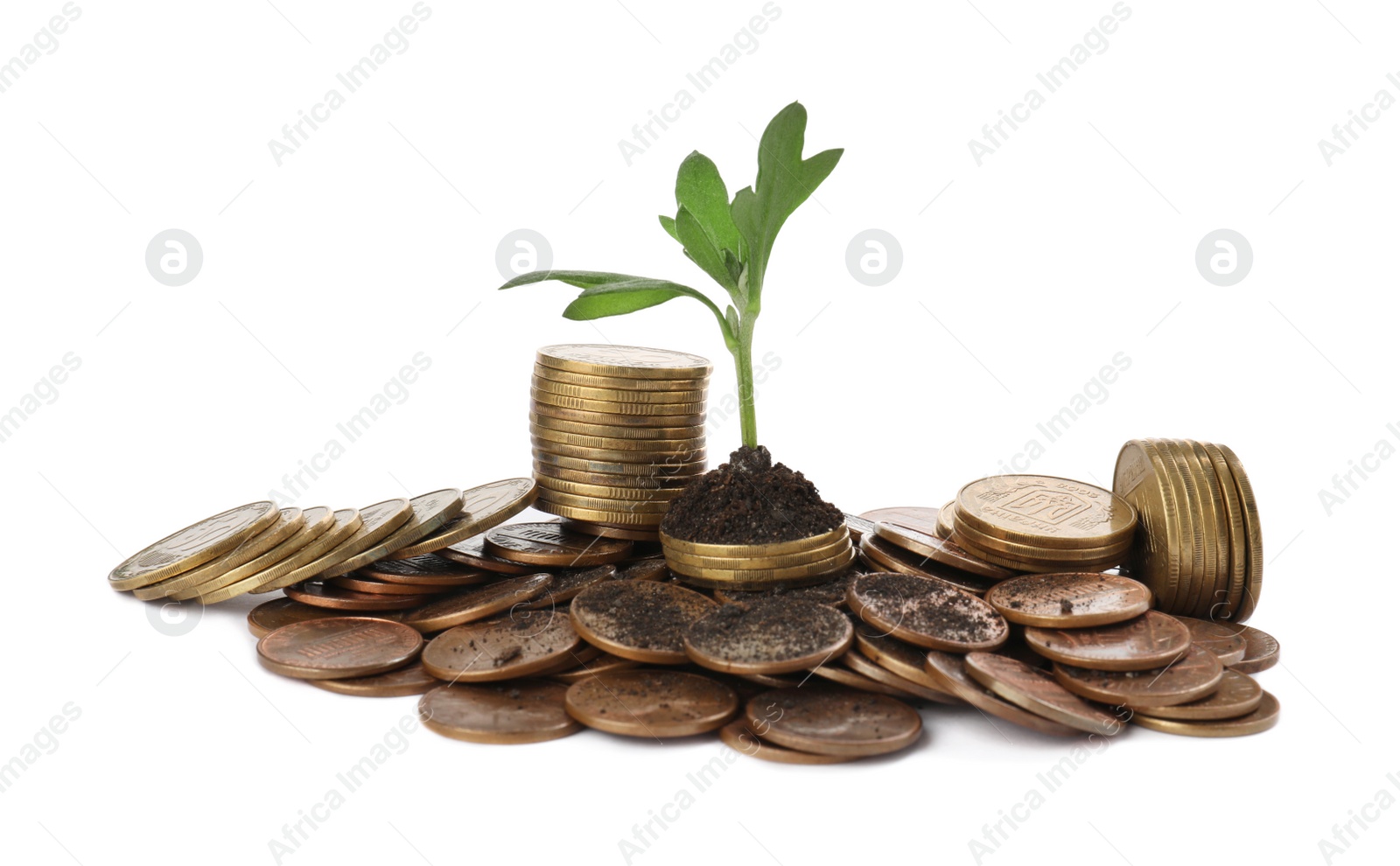 Photo of Pile of coins and green plant on white background. Investment concept