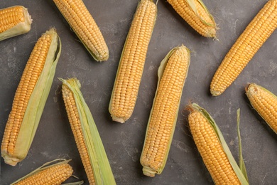 Photo of Flat lay composition with tasty sweet corn cobs on grey background