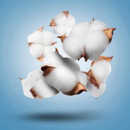 Image of Beautiful cotton flowers falling on light blue background