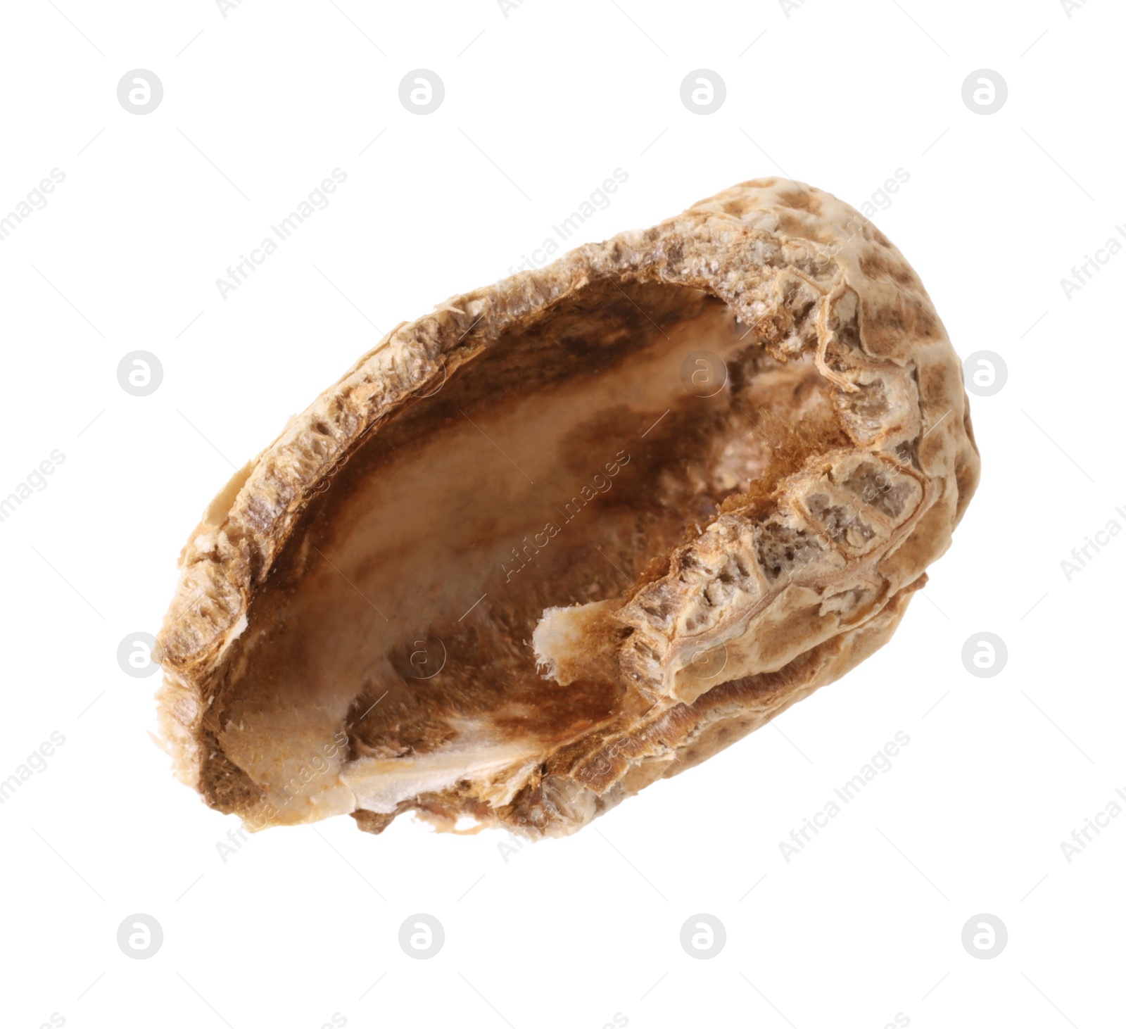 Photo of Broken raw peanut pod isolated on white