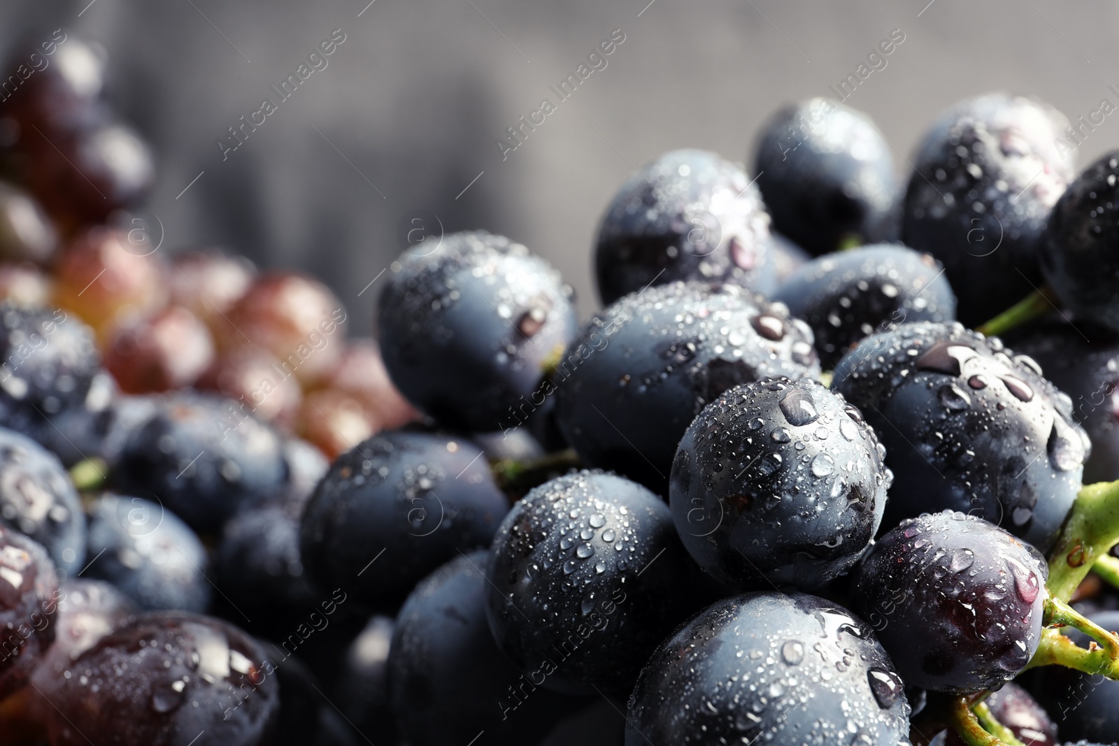 Photo of Bunch of fresh ripe juicy grapes as background. Closeup view