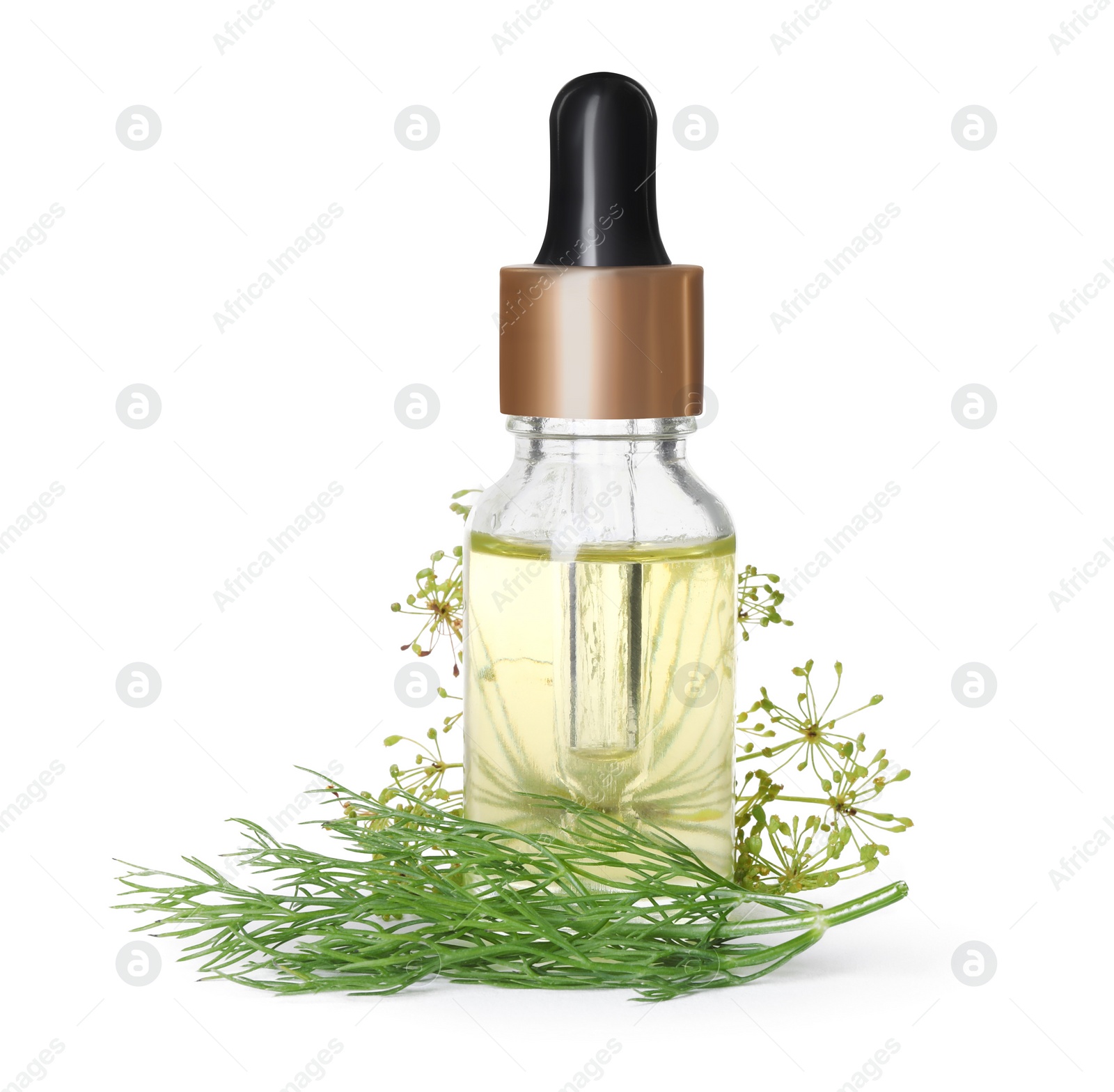 Photo of Bottle of essential oil and fresh dill isolated on white