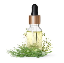 Photo of Bottle of essential oil and fresh dill isolated on white