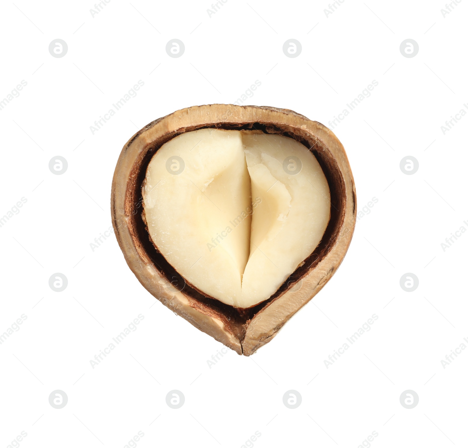 Photo of Half of tasty hazelnut in shell isolated on white