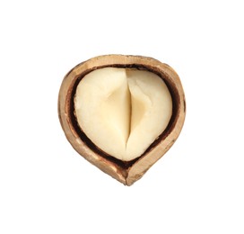 Photo of Half of tasty hazelnut in shell isolated on white