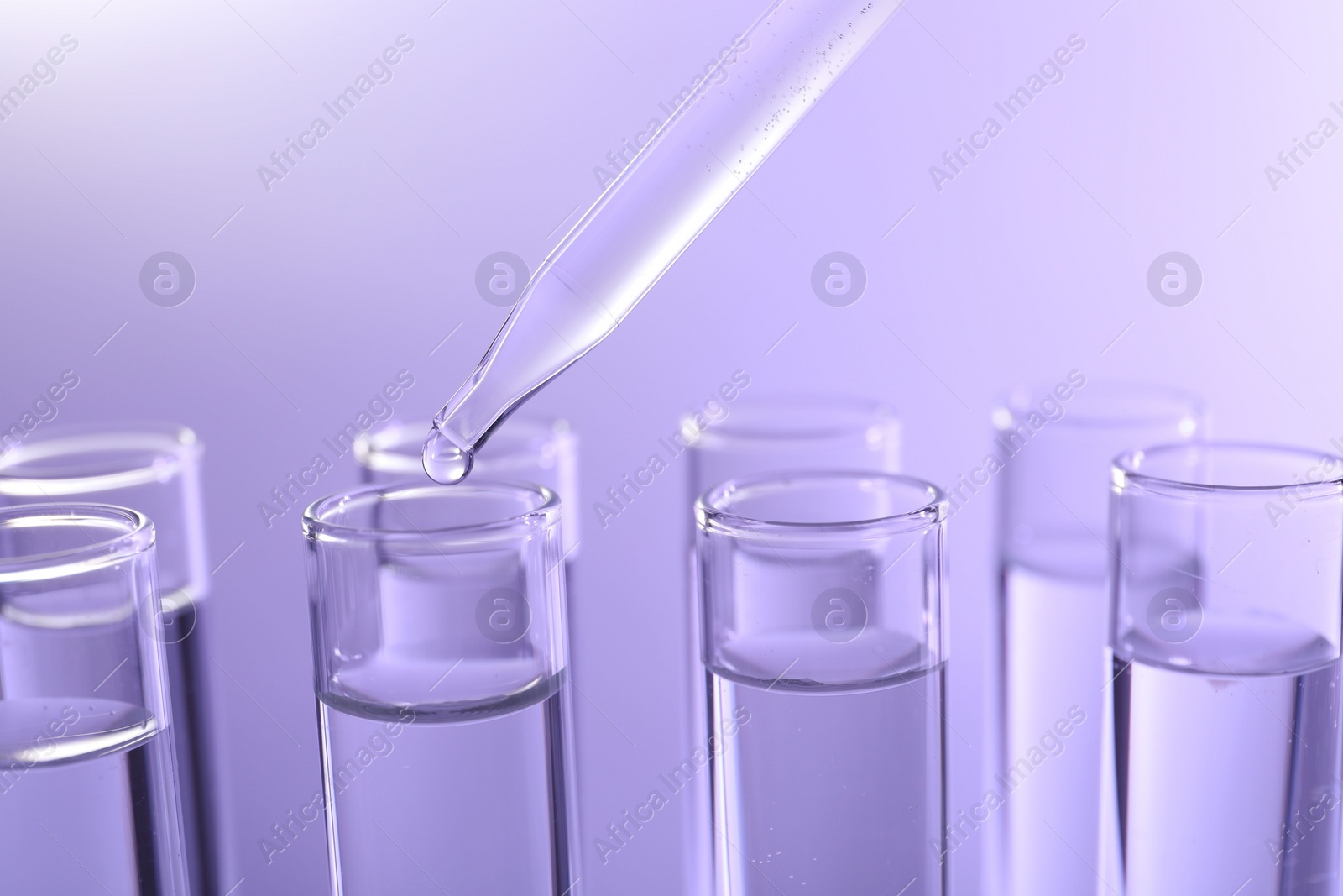 Photo of Dripping liquid from pipette into test tube on violet background, closeup