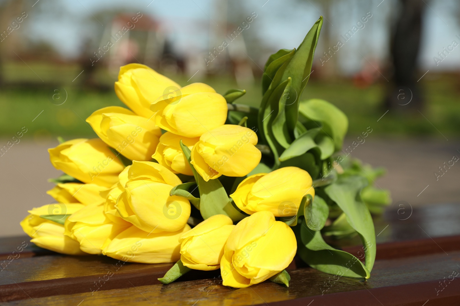 Photo of Bouquet of beautiful yellow tulips on wooden bench outdoors, closeup