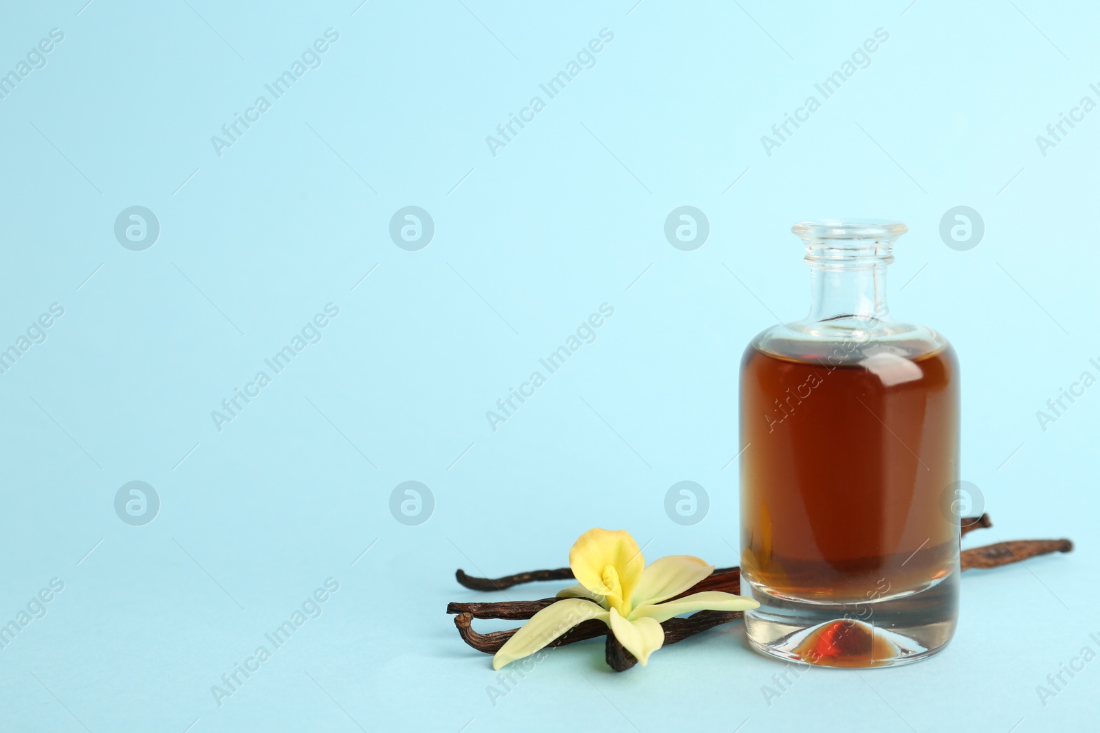 Photo of Aromatic homemade vanilla extract on light blue background. Space for text