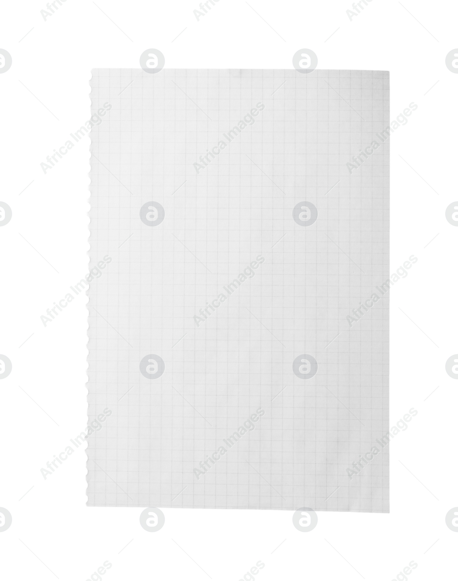 Photo of Blank notebook paper isolated on white. Space for design