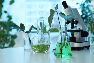 Photo of Laboratory glassware with plants and microscope on table, space for text. Biological chemistry