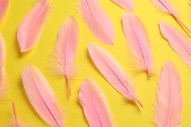 Photo of Beautiful pink feathers on yellow background, flat lay