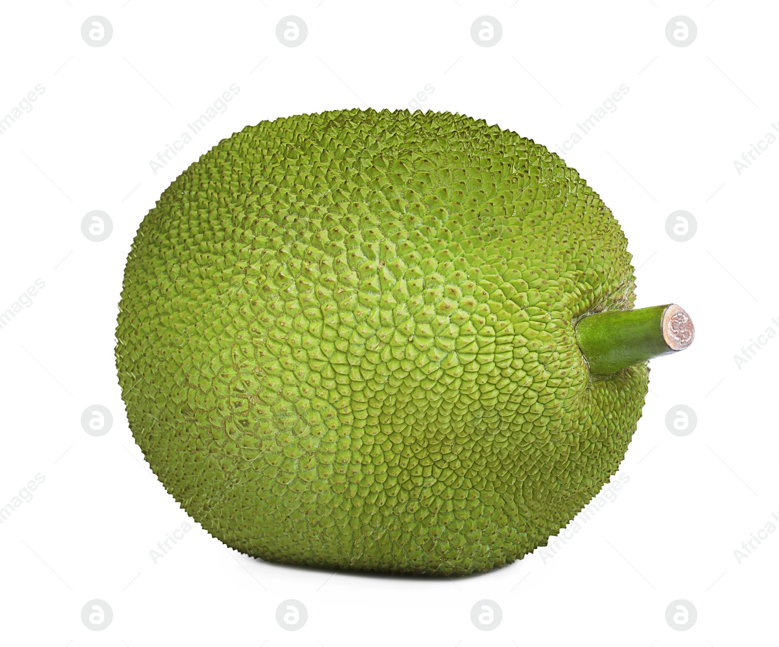 Photo of Delicious fresh exotic jackfruit isolated on white