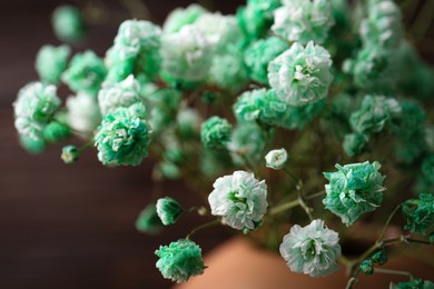 Beautiful dyed gypsophila flowers on brown background, closeup