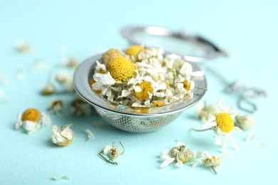 Photo of Dry chamomile flowers in infuser on light blue background, closeup