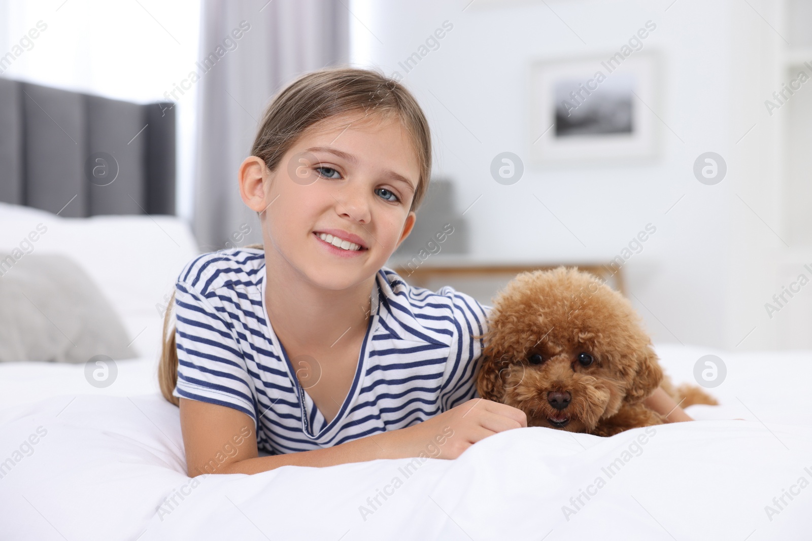 Photo of Little child and cute puppy on bed at home. Lovely pet