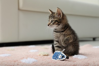 Photo of Little kitten playing with toy mouse at home