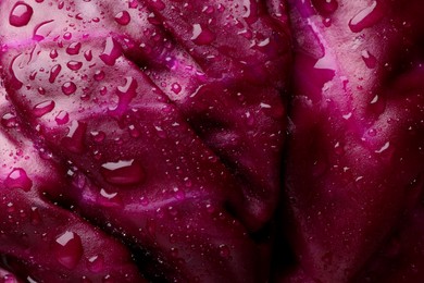 Photo of Fresh ripe red cabbage with water drops as background, closeup