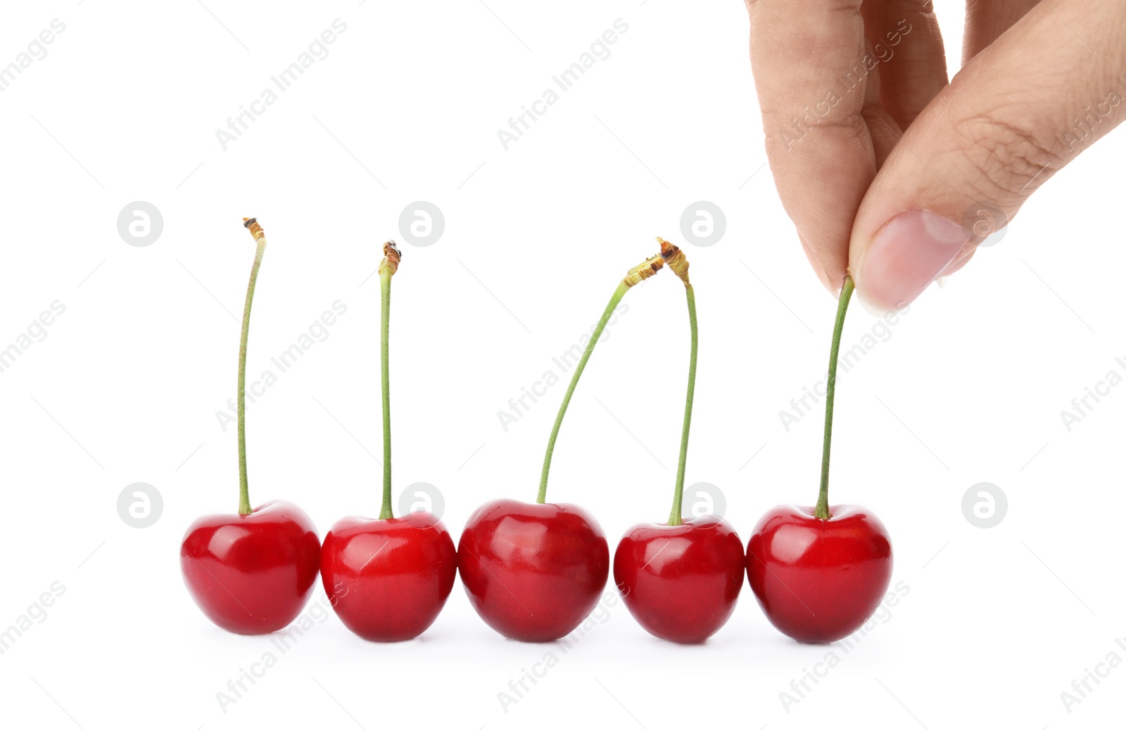 Photo of Woman holding sweet red cherry on white background