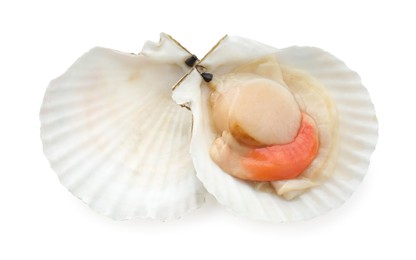 Photo of Fresh raw scallop with shell isolated on white, top view