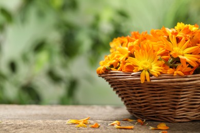 Photo of Beautiful fresh calendula flowers in wicker bowl on wooden table against blurred green background, space for text