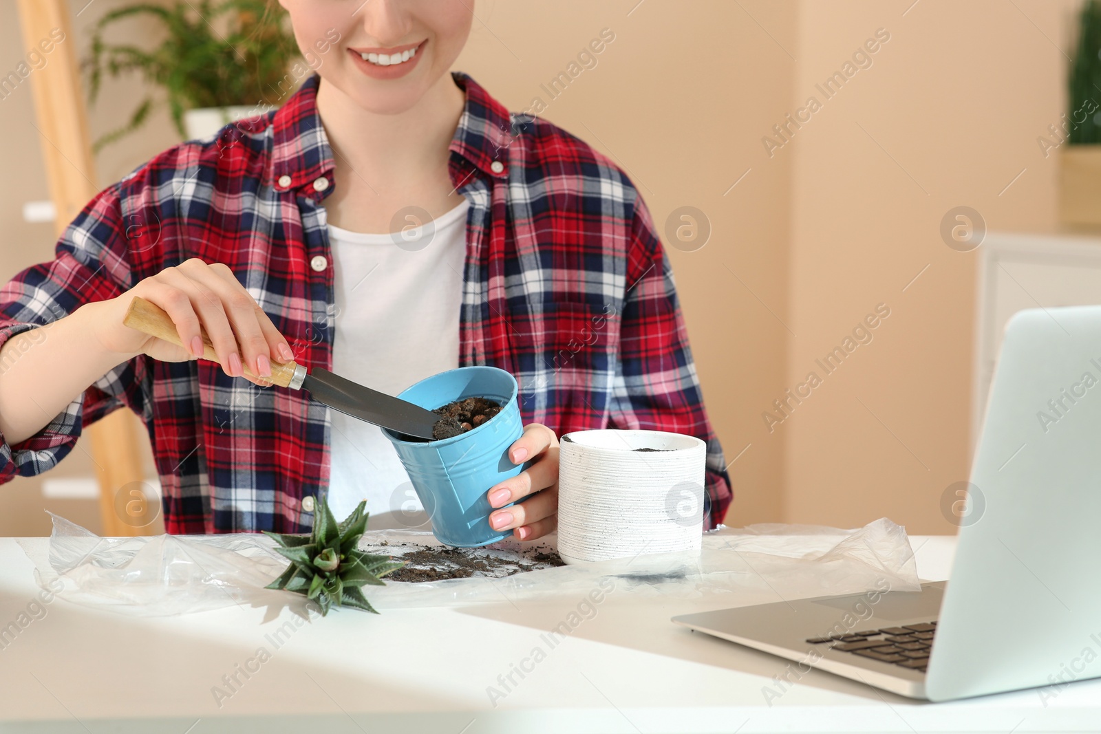 Photo of Woman taking care of plant following online gardening course at home, closeup. Time for hobby