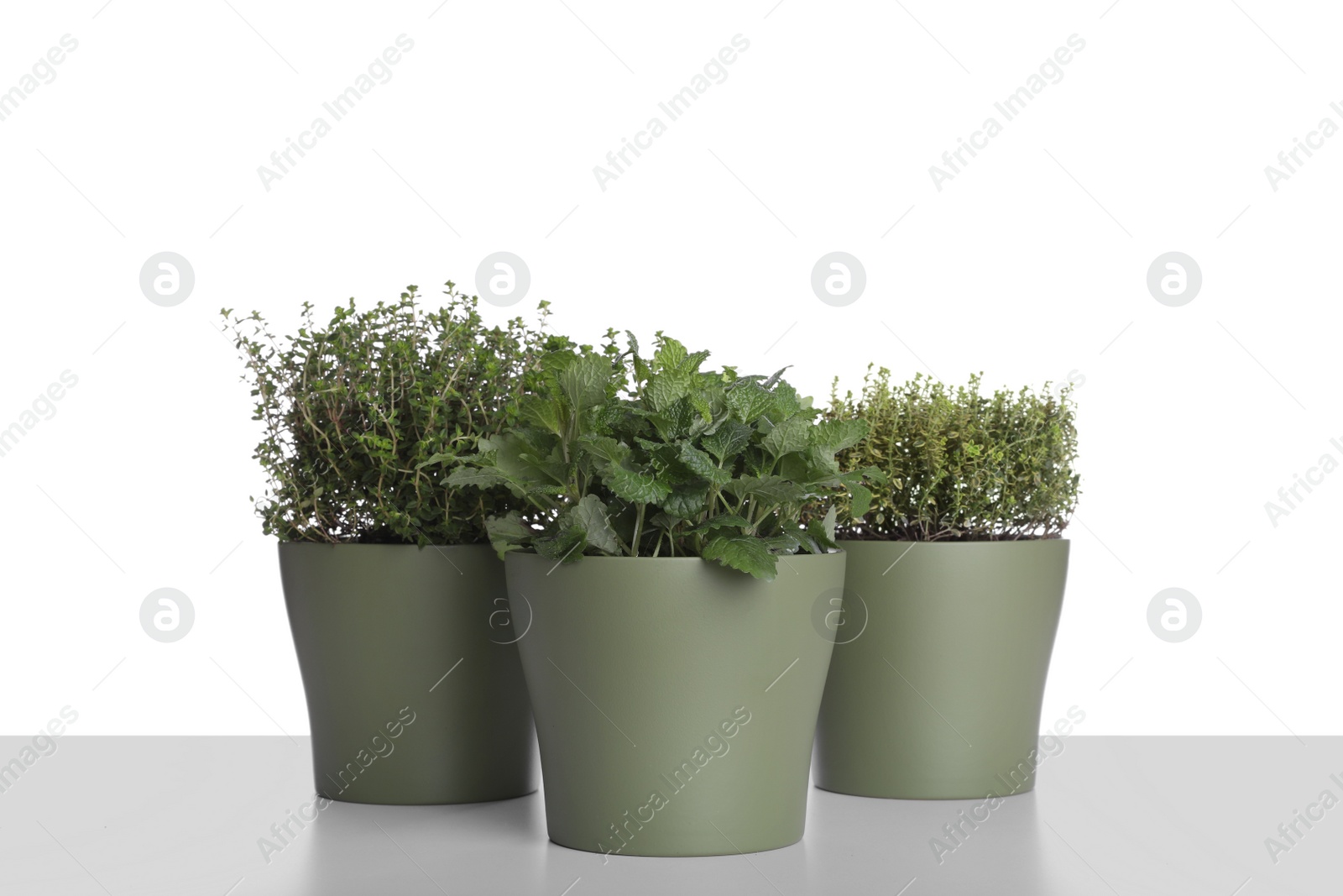 Photo of Pots with thyme and mint on white background