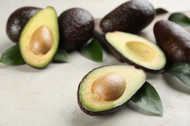 Whole and cut avocados with green leaves on light table