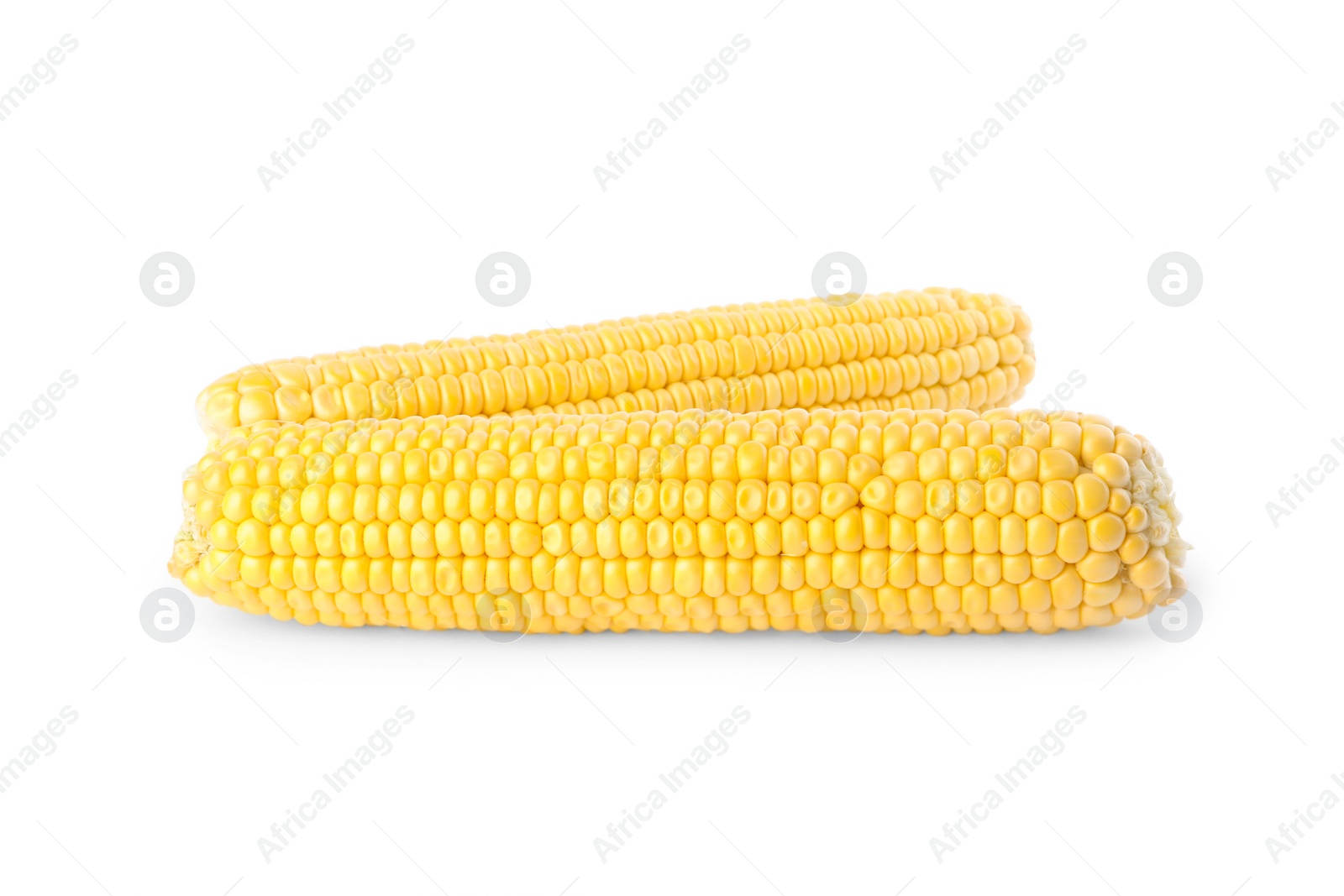 Photo of Ripe raw corn cobs isolated on white