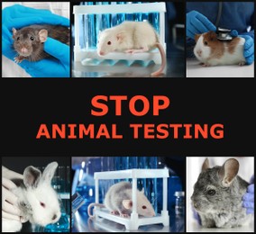 Image of Collage with different photos and text STOP ANIMAL TESTING 