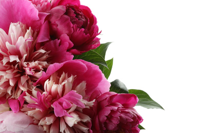 Bouquet of beautiful peonies on white background, closeup