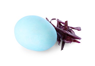 Photo of Light blue Easter egg painted with natural dye and red shredded cabbage on white background
