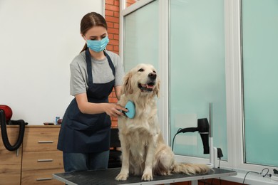 Photo of Professional groomer brushing fur of cute dog in pet beauty salon. Space for text