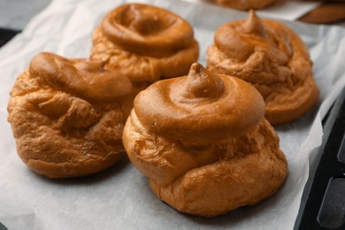 Freshly made delicious profiteroles in baking dish, closeup view