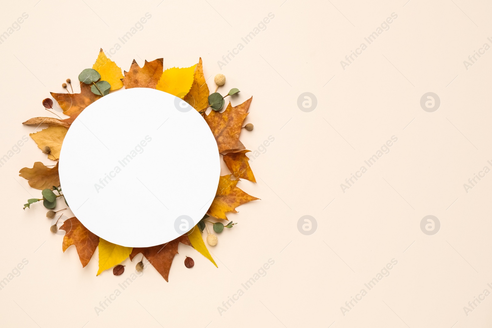 Photo of Flat lay composition with autumn leaves and blank card on light background, space for text