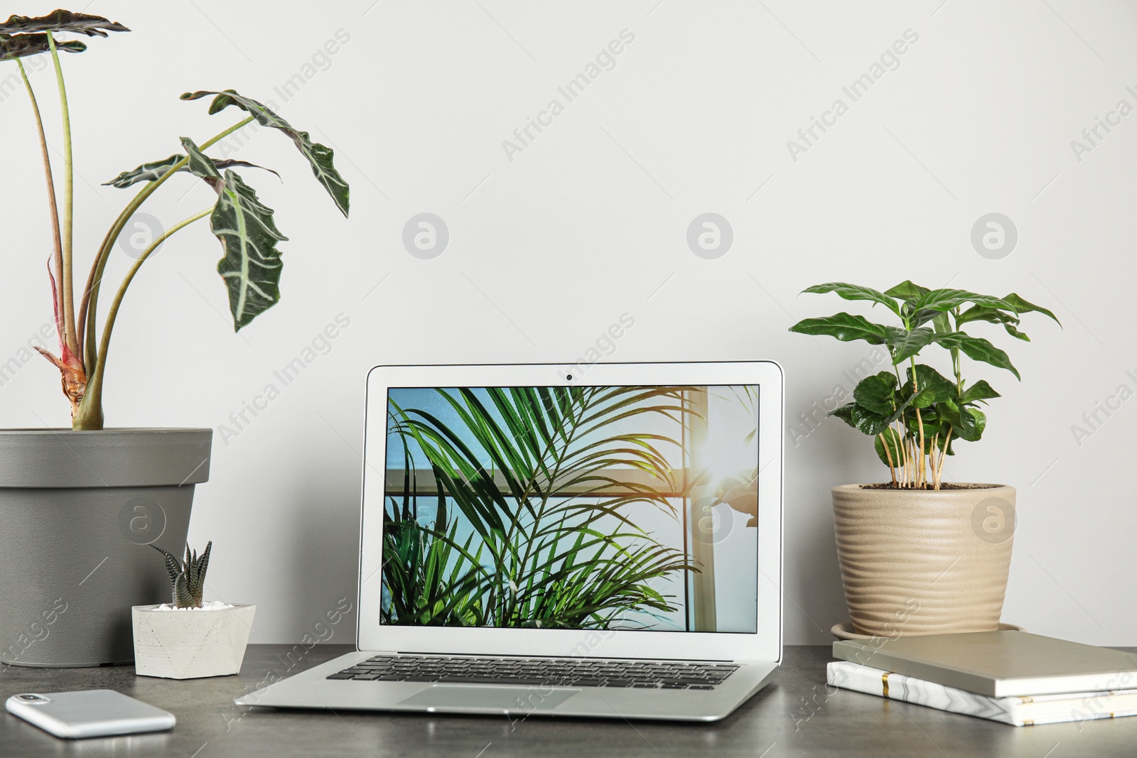 Photo of Laptop on table and houseplants in office interior, space for text